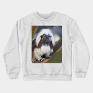 Cotton-top Tamarin Crewneck Sweatshirt